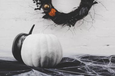Halloween pumpkins örümcek ağı içinde