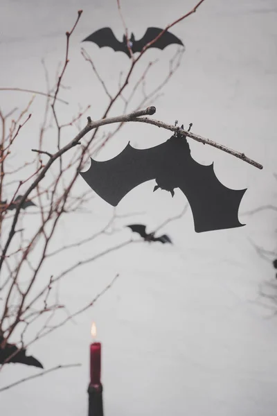 Decorative bats on dry branches — Free Stock Photo