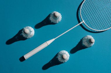 Badminton ekipmanları
