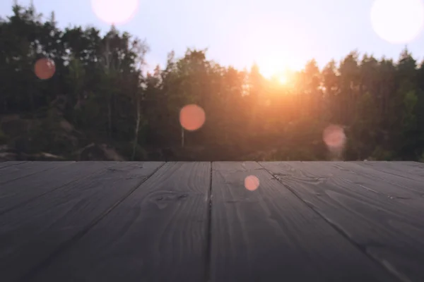 Letní les při západu slunce — Stock fotografie