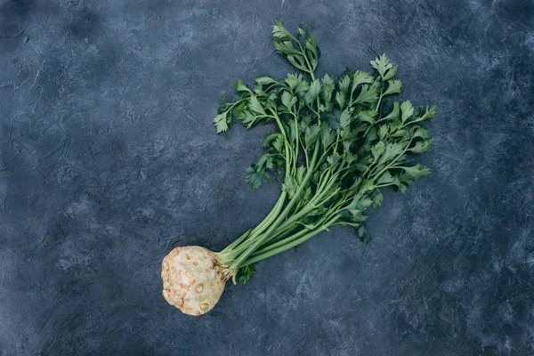 Fresh celery — Stock Photo, Image