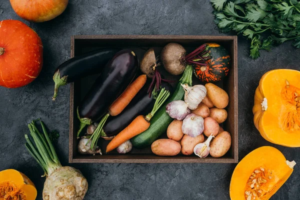 Спелые овощи в коробке — стоковое фото