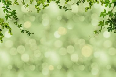 green foliage and blurry background clipart