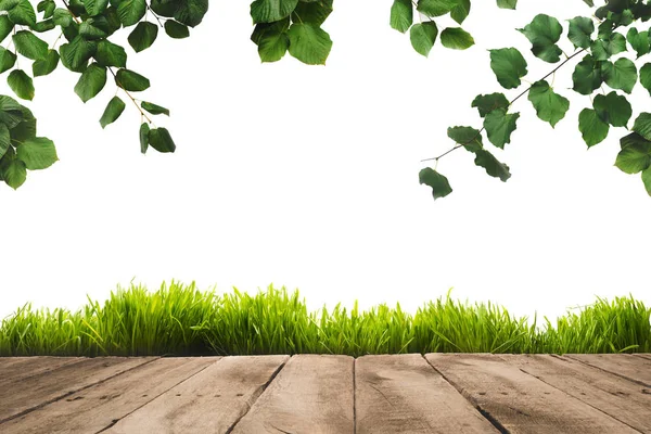 Folhas verdes, louças e tábuas de madeira — Fotografia de Stock