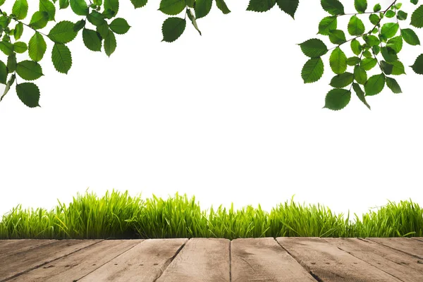 Hojas verdes, tablones frondosos y de madera — Foto de Stock