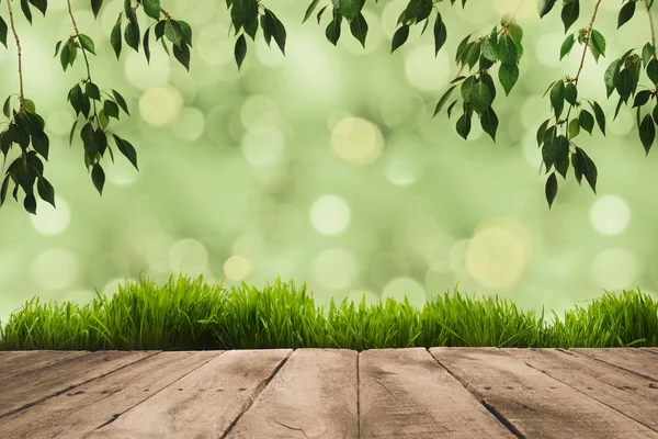 Green leaves, sward and wooden planks — Stock Photo, Image