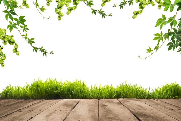 Foglie verdi, sward e tavole di legno — Foto Stock