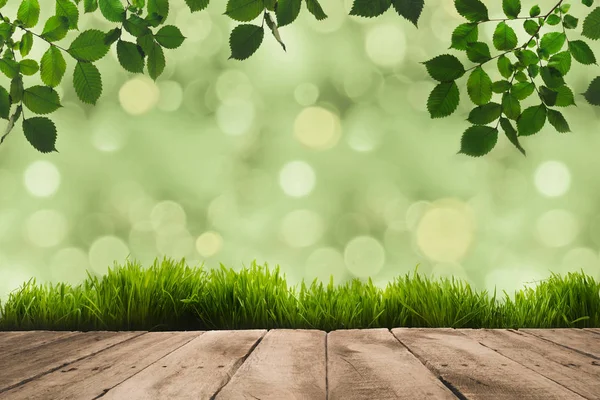 Grüne Blätter, Grasnarbe und Holzbohlen — Stockfoto