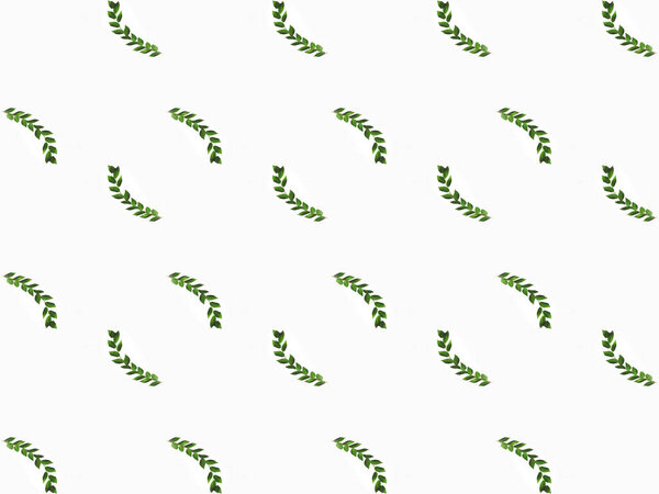 arranged green branches with leaves