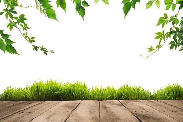 green leaves, sward and wooden planks