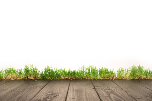 wooden planks and grass
