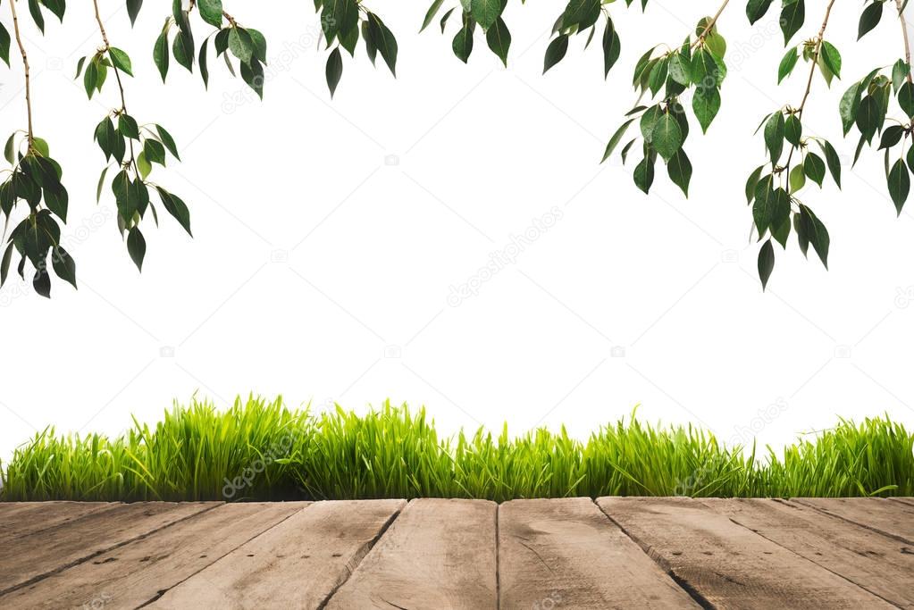 green leaves, sward and wooden planks