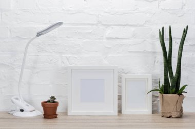 photo frames, plants and table lamp