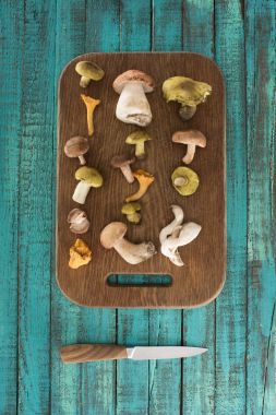 Different types of mushrooms on wooden board clipart