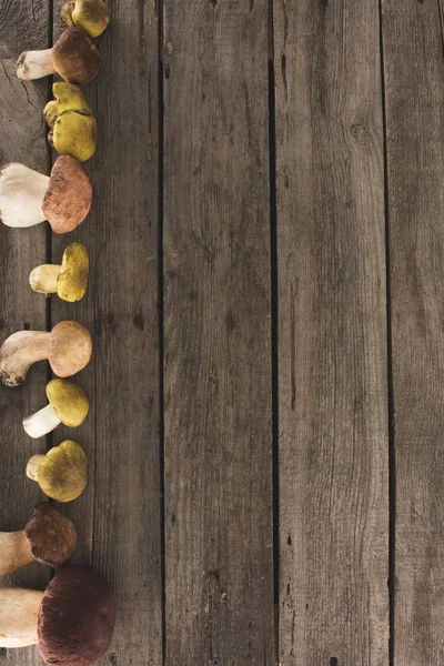 Wooden surface with different types of mushrooms — Stock Photo, Image