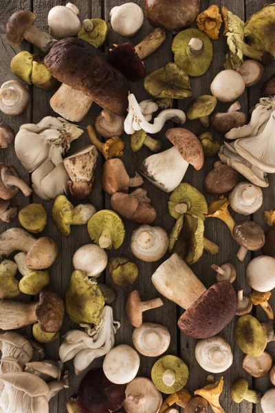 Different types of mushrooms on wooden table — Stock Photo, Image