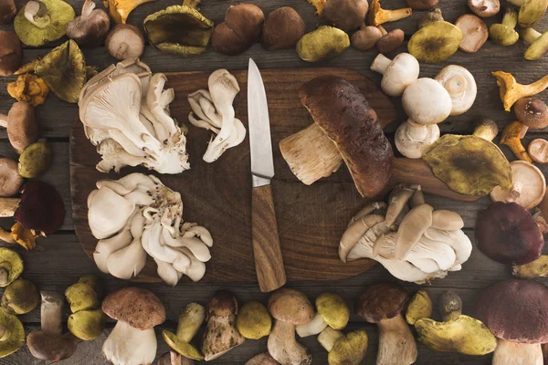 Different types of mushrooms on cutting board — Stock Photo, Image