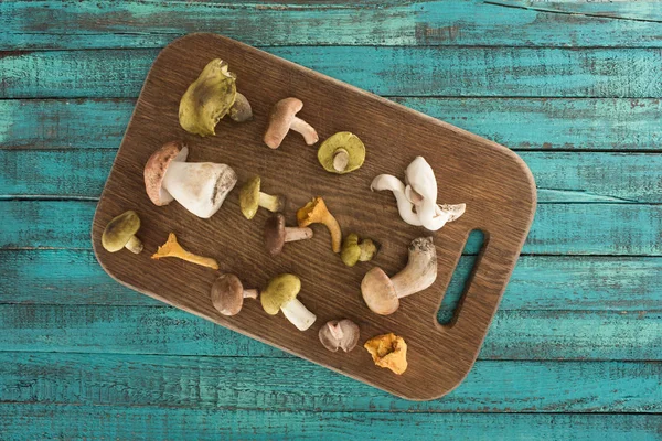 Different types of mushrooms on cutting board — Stock Photo, Image