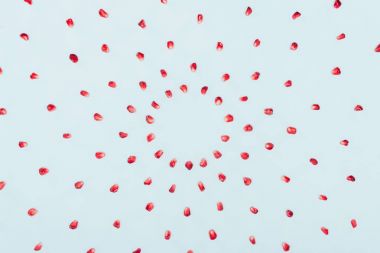 pomegranate seeds in circles clipart