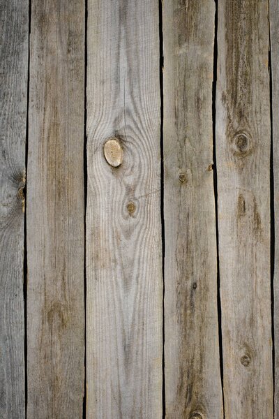 Wooden gray background