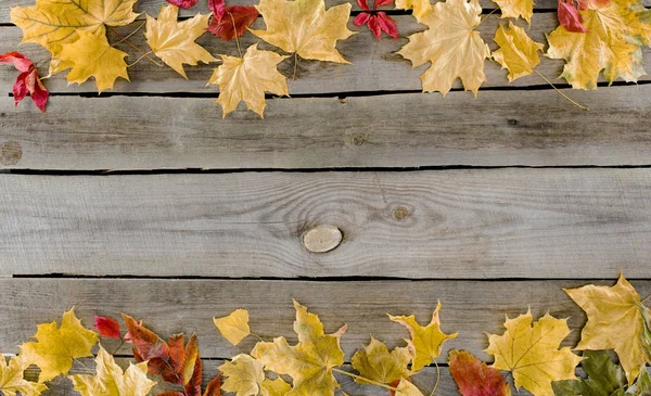 Hojas de otoño caídas rojas y amarillas — Foto de Stock