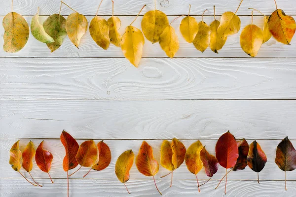 Autumn leaves on wooden surface — Stock Photo, Image