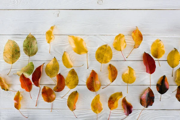 Daun musim gugur di atas meja kayu — Stok Foto