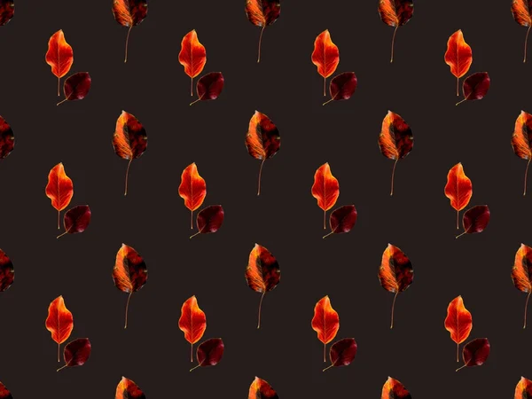 Oranžové a červené spadané listí — Stock fotografie