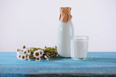 bottle and glass of fresh milk  clipart