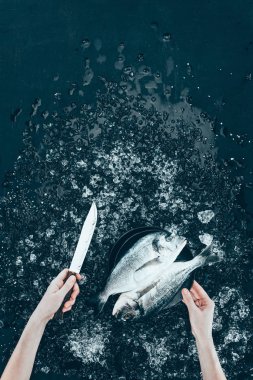 cropped shot of human hands with knife and fresh dorado fish on black clipart