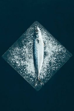 top view of fresh raw mackerel on slate board isolated on black   clipart