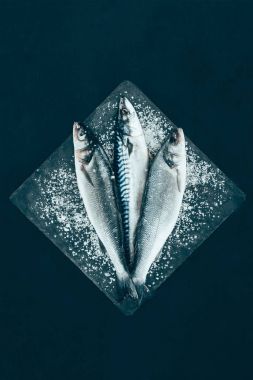 top view of fresh raw mackerel and sea bass on slate board isolated on black  clipart
