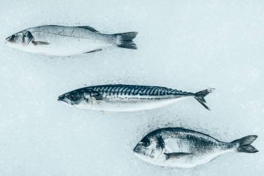 buz üzerinde çeşitli pişmemiş sağlıklı deniz balık Üstten Görünüm