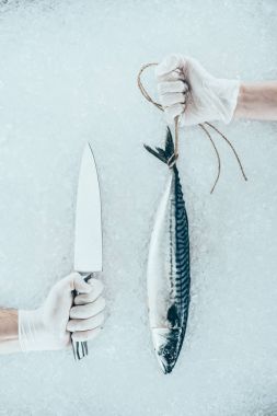 cropped shot of hands in gloves with knife and raw mackerel with rope clipart