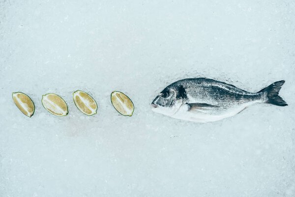 close-up view of healthy raw dorado fish and lime slices on ice