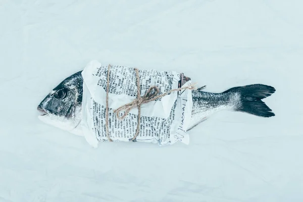 Nahaufnahme Des Gourmet Dorados Fische Papier Mit Seil Auf Grau — Stockfoto