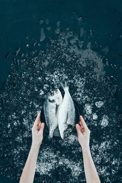 cropped shot of human hands holding plate with fresh organic dorado fish on black