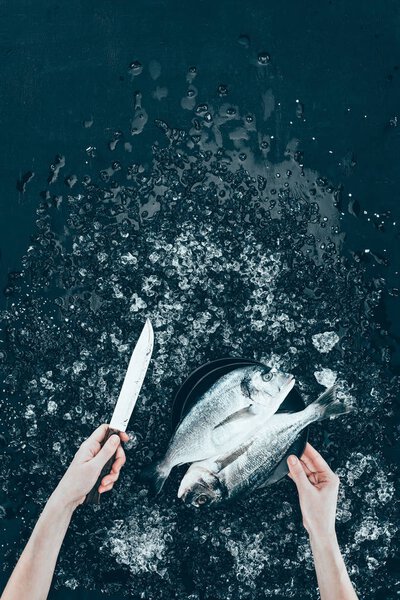 cropped shot of human hands with knife and fresh dorado fish on black