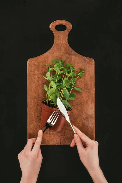 Cropped Shot Hands Fork Knife Mint Pot Wooden Cutting Board — Stock Photo, Image