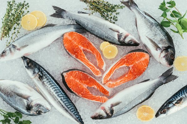 top view of assorted organic seafood and ingredients on ice