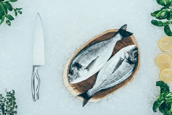 Buz Üzerinde Ham Dorado Balık Malzemeler Bıçakla Üstten Görünüm — Stok fotoğraf