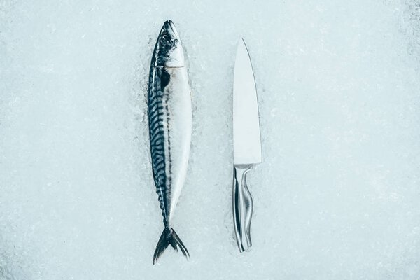 вид сверху на сырую свежую рыбу макрель и нож на льду
