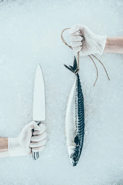 Beskuren Bild Händerna Handskar Med Kniv Och Makrill Med Rep — Stockfoto