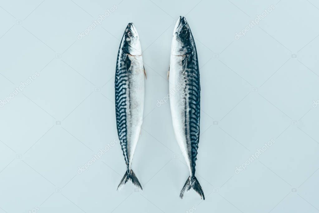 aquaculture #hashtag