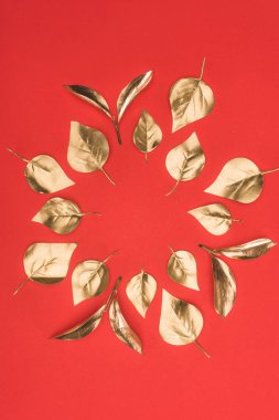 top view of arranged in circle golden leaves isolated on red clipart