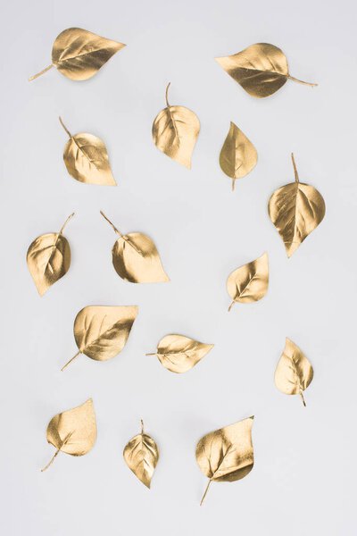 close up view of arranged golden leaves isolated on grey