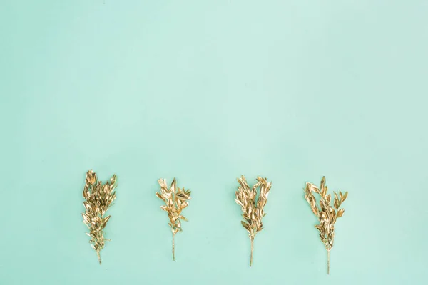 Ansicht Von Oben Angeordnet Farbigen Goldenen Pflanzen Isoliert Auf Blau — Stockfoto