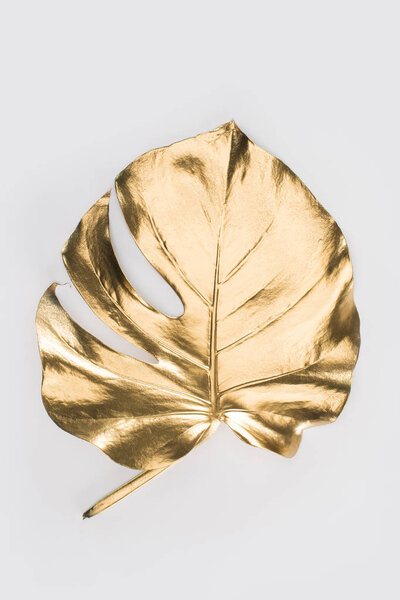 close up view of shiny big golden leaf isolated on grey