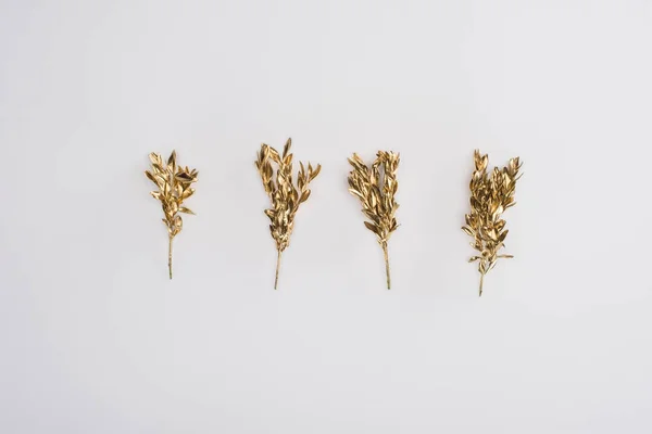Zár Megjelöl Kilátás Elszigetelt Szürke Színű Arany Növények — Stock Fotó