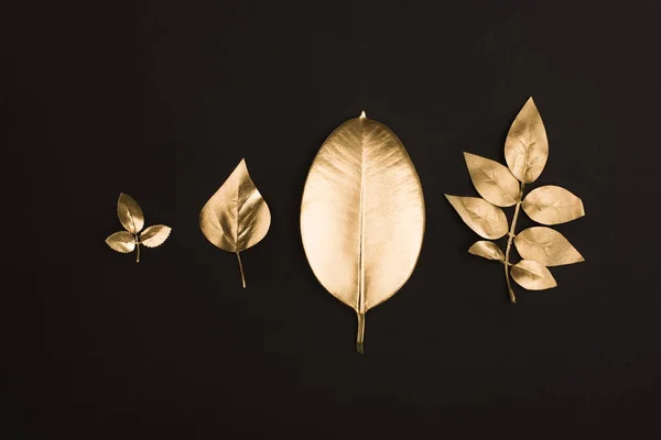 Close View Shiny Golden Leaves Arranged Line Isolated Black — Stock Photo, Image
